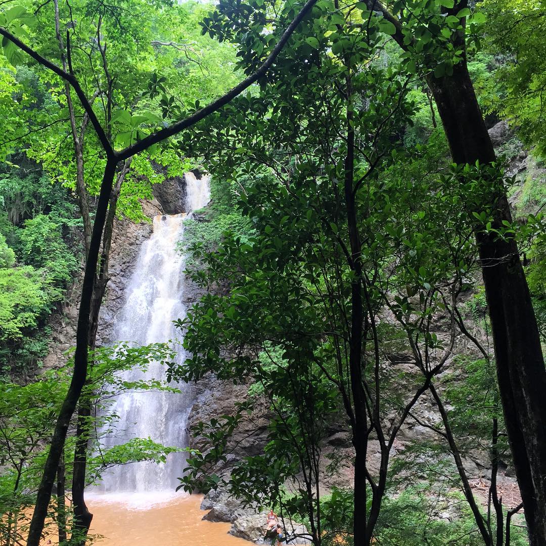 montezuma-waterfall-view-from-forest